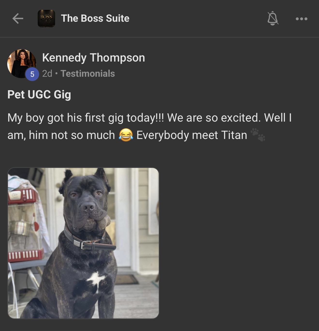Kennedy Thompson Boss Suite testimonial screenshot